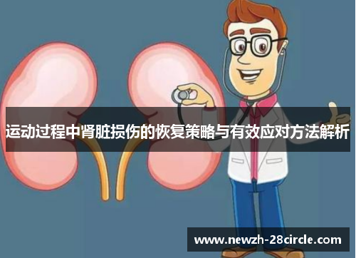 运动过程中肾脏损伤的恢复策略与有效应对方法解析 运动过程中肾脏损伤的恢复策略与有效应对方法解析