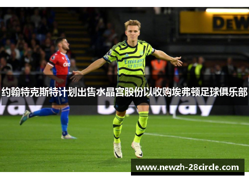 约翰特克斯特计划出售水晶宫股份以收购埃弗顿足球俱乐部